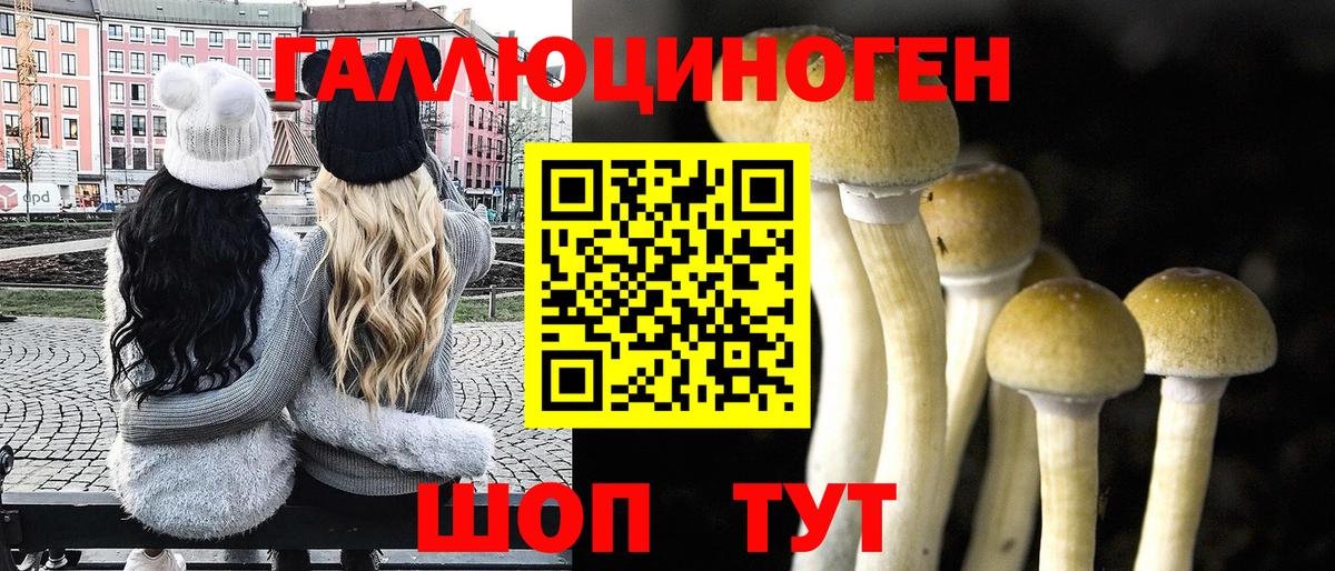 Галлюциногенные грибы Psilocybine cubensis Боровичи